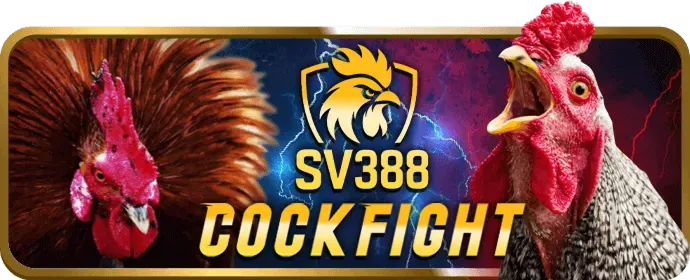 Hỗ trợ và bảo mật sabong67 nhà cái